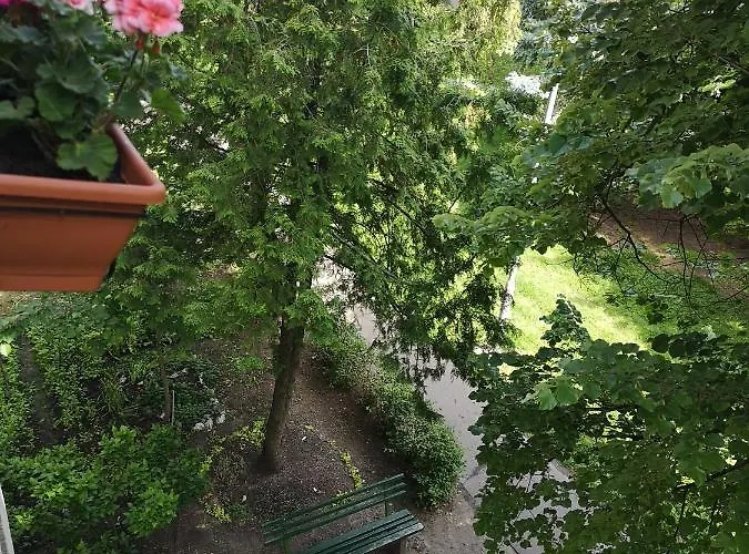 Natasa Oroshaza